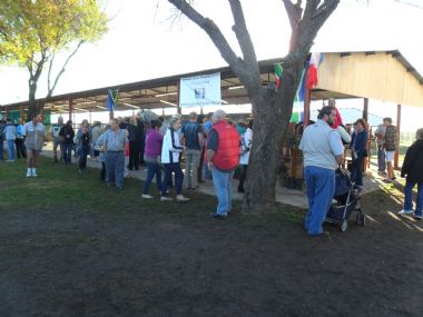 Percheron SA Spectators